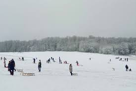 Es besteht dann die möglichkeit, mit der „bergziege (kleiner bus) wieder hochzufahren. 7 Rodel Strecken In Und Um Hamburg Auf Die Piste Fertig Rodeln Geheimtipp Hamburg