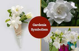 Pin On Plants And Flower Symbols