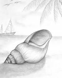 A Shell On Beach Portrait Drawing Drawings Best Pencil