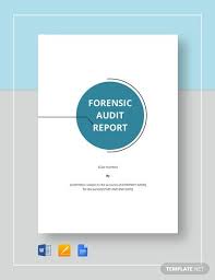 forensic audit report template free pdf google docs word net accounting forensics profit before tax note ias 1