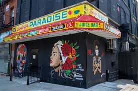 East Harlem's X-rated 'sports bar' stirs local outrage, but lax enforcement  from City Hall - Gothamist