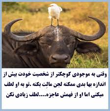 pin by محمود محمدی on گفتنی ها persian poetry farsi quotes makeup eye looks