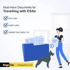 Esa Travel How Does The New Dot Law Affect Esa Owners In 2021