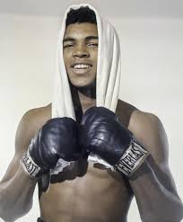 We did not find results for: When Muhammad Ali Met A Man On A Ledge The New York Times