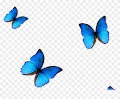 Blue butterfly beautiful butterfly butterfly butterfly illustration. Kisspng Butterfly Blue Phengaris Alcon Blue Butterfly Butterfly Png For Editing Transparent Png 1200x630 82375 Pngfind
