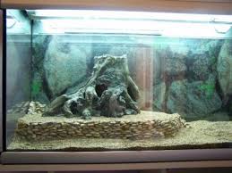 Epingle Par Hachiko Sur Une Vie Simple Decor Terrarium Terrarium Diy Jouet Pour Chat