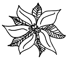 If your child loves interacting. Cute Poinsettia Sketch For Poinsettia Day Coloring Page Coloring Sun