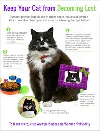 Help is free, map based & worldwide, use this link to list your lost or a found pet Lost And Found Cats Petfinder