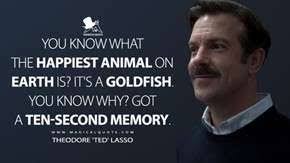 Fate, Luck and Choice