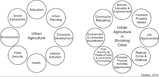 The Multiple Benefits Of Urban Agriculture In Cities And Shrinking Download Scientific Diagram