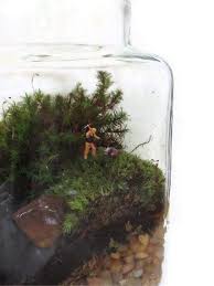 Get Off My Lawn Tiny Terrarium Accessories Terrarium Zombies Zombie Accessories Zombie Terrarium Terrarium De Garden Terrarium Terrarium Get Off My Lawn