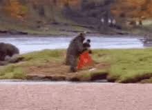 More memes, funny videos and pics on 9gag. Bear Fight Gifs Tenor