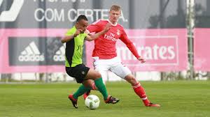 Paweł marek dawidowicz (born 20 may 1995) is a polish professional footballer who plays for italian club verona and the poland national team as a defender. Pawel Dawidowicz At Verona Sl Benfica