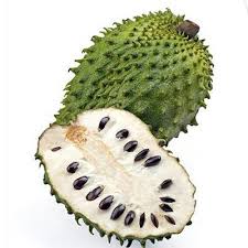 In fact, this small evergreen tree produces the largest fruit in the annonaceae family. Fresh Soursop Fruit Graviola Fruit Graviola Juice Buy Fresh Soursop Fruit Graviola Fruit Graviola Juice Fresh Persimmon Fruit Fresh Pomegranate Fruits For Sale Product On Alibaba Com