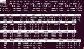 By using the new active the clown killings reborn codes, you can get some free cash, which will help you to purchase crates that can get you various kinds of new items. How To Use The Linux Top Command And Understand Its Output