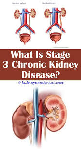 Reverse Kidney Disease Kidney Disease Recipes Kidney Disease Kidney Disease Symptoms