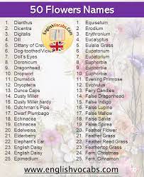 We did not find results for: 50 Flowers Name List In English English Vocabs