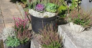Dekoideen Herbst Draussen Blumentoepfe Heide Silberdraht Pflanze Pflanzen Dekoideen Herbst Herbst