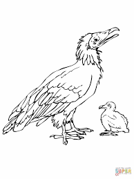 Dengan adanya kegiatan mewarnai, maka kreatifitas dan juga imajinasi sang anak akan berkembang. Burung Dodo Mewarnai Anak Anak Cetak