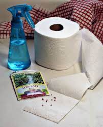 Make Your Own Seed Tape Homemade Seed Tapes From Toilet Paper