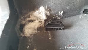 Les poils du chat s'accrochent aux tissus et ne sont pas toujours faciles à nettoyer. Brosse Caoutchouc Anti Poils De Chiens Chats Pansage De Chevaux