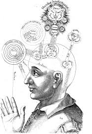 1.a human being can understand what we are, an animal, can't. Consciousness And Biological Rhythms Introduction To Psychology