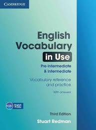 English Vocabulary In Use Pre Intermediate And Intermediate Third Edition English Vocabulary In Use Pre Intermediate And Intermediate With Answers English Vocabulary English Learning Books Vocabulary Practice