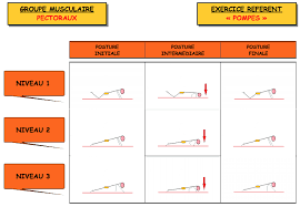 Puede retirar su consentimiento utilizando el formulario de contacto o siguiendo los pasos que figuran en dicha política de privacidad. Https Ent2d Ac Bordeaux Fr Disciplines Eps Wp Content Uploads Sites 33 2020 03 Renforcement Musculaire Eps Clg La Garosse Pdf