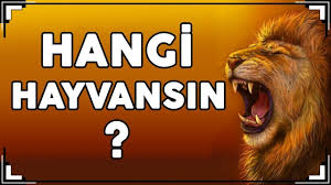 eglenceli testler panosundaki pin