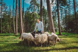 Stenen schapen en vogels, met als basis een zwerfkei, zijn kenmerkend voor ons werk. Unieke Beleving In De Provincie Utrecht Workshop Culinair Bezoek Aan Parc Broekhuizen De Leukste Utrecht Tips