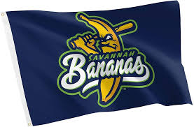 Desert Cactus Savannah Bananas Baseball ...