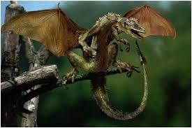 Real Green Dragon Fantasy Dragon Dragon Pictures Fantasy Creatures