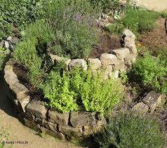 Pin Von Volmary Blumen Gemusepflanz Auf Garten Inspiration Ideen Garten Garten Pflanzen Gartenbau