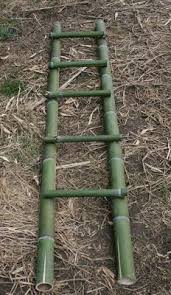For a very basic planter, all you have to do is to cut the bamboo timber. The Oko Box Diy Decorative Bamboo Ladder Bamboo Diy Bamboo Projects Bamboo Ladder