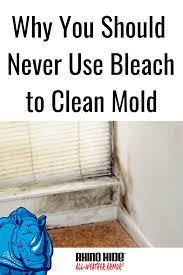 Rhino Hide Why You Should Never Use Bleach To Clean Mold Cleaning Molding Mold Remediation