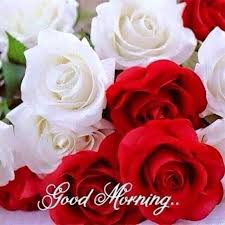 Good Morning Bunch Of Cuties Good Morning Flowers Good Morning Images Flowers Good Evening Greetings