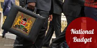 Best wildlife budget safari visiting maasai mara, lake nakuru park, known as the pink lake and the home of the white and black rhino, and amboseli. More Borrowing To Finance The Budget 2020 2021