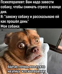 Основные функции нервных клеток