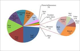 Image result for Xysmalobium heudelotianum