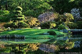 Asticou Azalea Garden In Soft Warm Morning Light Azaleas Garden Backyard Water Feature Garden View