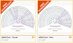 Gedtree Free Downloads Of Xdna Charts Ongenealogy