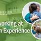 Networking at Noon Experience