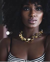 140 Ebony Flowers and black beauties ideas to save today