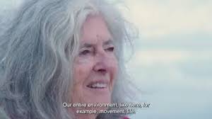 Christiane Seguin (France), Artiste dessinateur contemporain