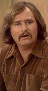 Rob Reiner As Mike Stivic All In The Family Tv Fanatic