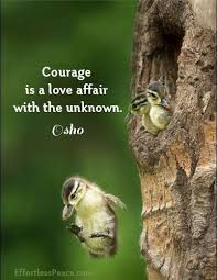 Courage Take The Leap Beautiful Birds Cute Animals Wood Ducks