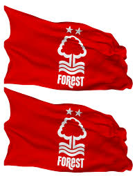 Nottingham Forest Football Club Flag Waves Isolated in Plain and Bump  Texture, with Transparent Background, 3D Rendering 23398893 PNG