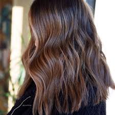 You'll be able to buy various diy box dyes from different brands to get this color at the comfort of your home—talk about convenient! Chestnut Brown Hair Color Ideas Formulas Wella Professionals
