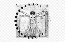 Mens sketch style neck piece by cansu olga, an artist based in adana, turkey. Sacred Geometry Tattoo Png Vitruvian Man Logo Free Transparent Png Images Pngaaa Com