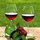 Summer Wine Tasting by the River